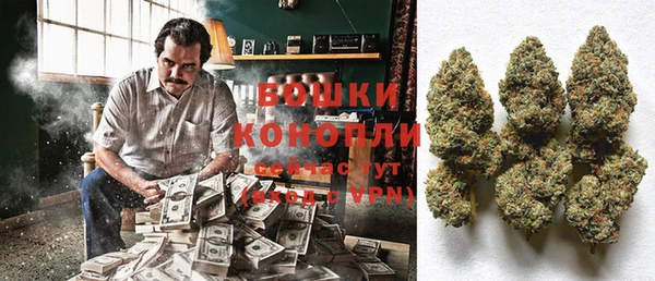 крисы Гусь-Хрустальный