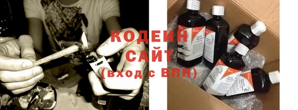 кокс Гусев