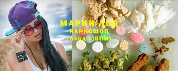 ешки Елизово