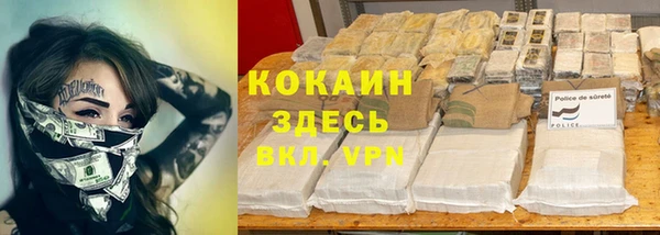 кокс Гусев