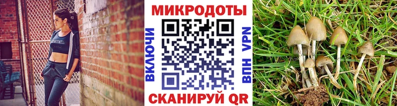 Купить где  Комсомольск  Псилоцибиновые грибы Psilocybe 